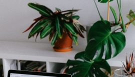 femme en télétravail