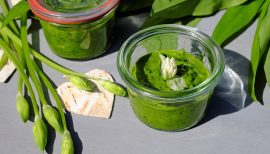 pesto d'ail des ours