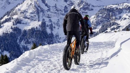 fatbike ou snowbike