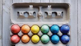 boîtes d'oeufs multicolores