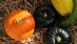 courges et soupe de courge