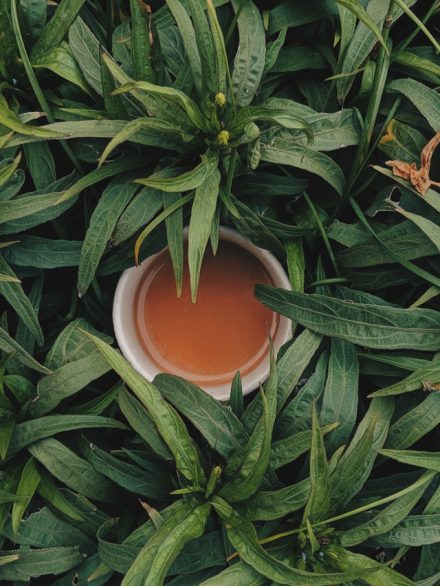 tasse de thé au milieu de feuilles de thé