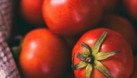 tomates rouges en plan serré