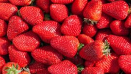 multitude de fraises en plein écran